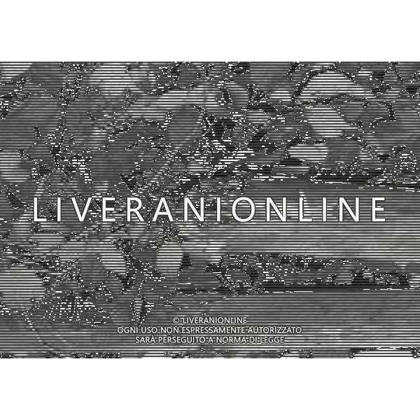 NEG-12-09-1976 GRAN PREMIO D\'ITALIA F1 A MONZA NELLA FOTO CROLLO DEL PANNELLO PUBBLICITARIO A MONZA AG ALDO LIVERANI SAS