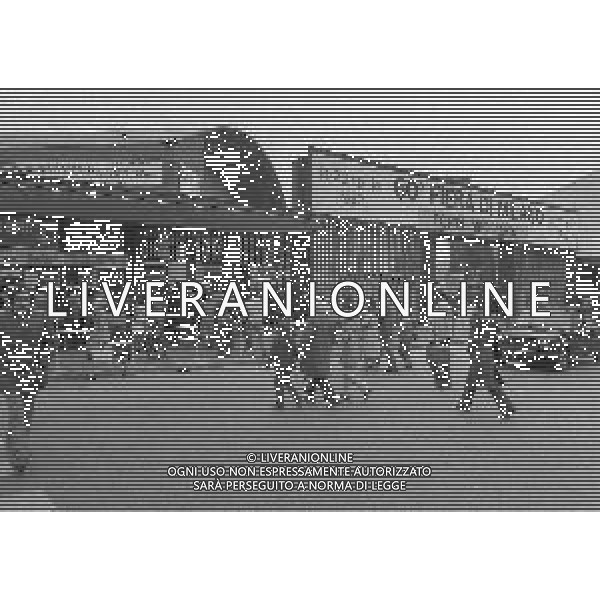NEG-MILANO ANNO 1982- 60 FIERA CAMPIONARIA DI MILANO NELLA FOTO PANORAMICHE DELLA FIERA CAMPIONARIA DI MILANO NELL\'ANNO 1982 AG ALDO LIVERANI SAS