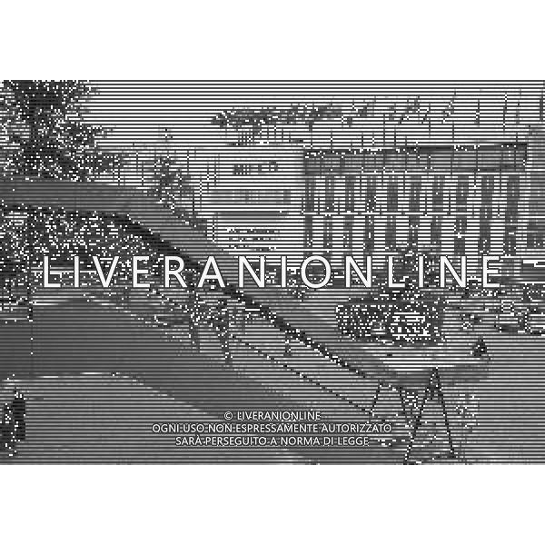 NEG-MILANO ANNO 1982- 60 FIERA CAMPIONARIA DI MILANO NELLA FOTO PANORAMICHE DELLA FIERA CAMPIONARIA DI MILANO NELL\'ANNO 1982 AG ALDO LIVERANI SAS