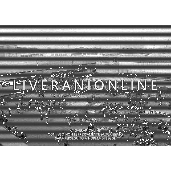 NEG-MILANO ANNO 1982- 60 FIERA CAMPIONARIA DI MILANO NELLA FOTO PANORAMICHE DELLA FIERA CAMPIONARIA DI MILANO NELL\'ANNO 1982 AG ALDO LIVERANI SAS