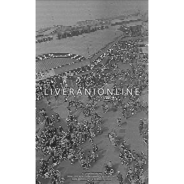 NEG-MILANO ANNO 1982- 60 FIERA CAMPIONARIA DI MILANO NELLA FOTO PANORAMICHE DELLA FIERA CAMPIONARIA DI MILANO NELL\'ANNO 1982 AG ALDO LIVERANI SAS