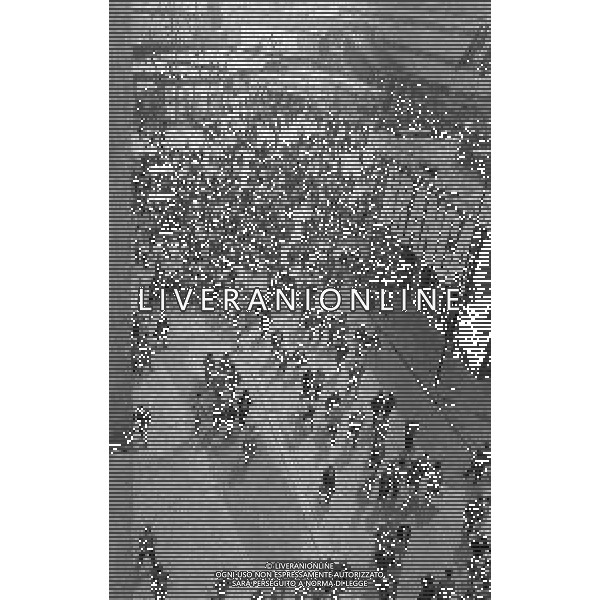 NEG-MILANO ANNO 1982- 60 FIERA CAMPIONARIA DI MILANO NELLA FOTO PANORAMICHE DELLA FIERA CAMPIONARIA DI MILANO NELL\'ANNO 1982 AG ALDO LIVERANI SAS