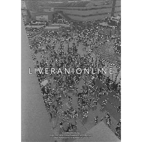 NEG-MILANO ANNO 1982- 60 FIERA CAMPIONARIA DI MILANO NELLA FOTO PANORAMICHE DELLA FIERA CAMPIONARIA DI MILANO NELL\'ANNO 1982 AG ALDO LIVERANI SAS