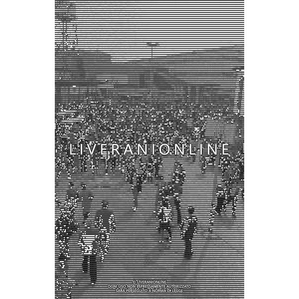 NEG-MILANO ANNO 1982- 60 FIERA CAMPIONARIA DI MILANO NELLA FOTO PANORAMICHE DELLA FIERA CAMPIONARIA DI MILANO NELL\'ANNO 1982 AG ALDO LIVERANI SAS