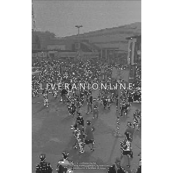 NEG-MILANO ANNO 1982- 60 FIERA CAMPIONARIA DI MILANO NELLA FOTO PANORAMICHE DELLA FIERA CAMPIONARIA DI MILANO NELL\'ANNO 1982 AG ALDO LIVERANI SAS