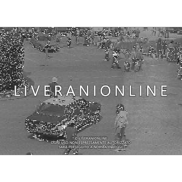 NEG-MILANO ANNO 1982- 60 FIERA CAMPIONARIA DI MILANO NELLA FOTO PANORAMICHE DELLA FIERA CAMPIONARIA DI MILANO NELL\'ANNO 1982 AG ALDO LIVERANI SAS