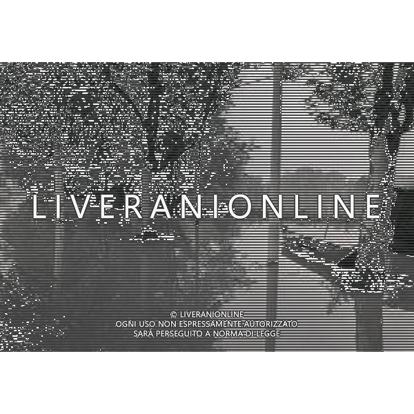 NEG-1976 ALLAGAMENTI NELLE CAMPAGNE DI LODI AG ALDO LIVERANI SAS