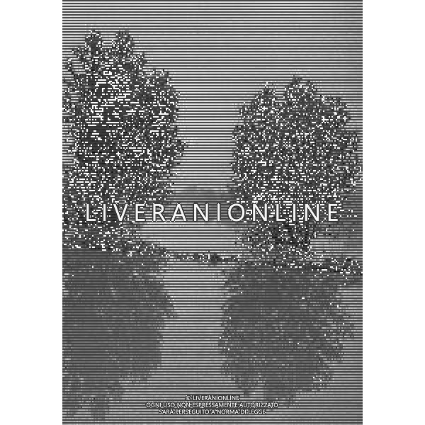 NEG-1976 ALLAGAMENTI NELLE CAMPAGNE DI LODI AG ALDO LIVERANI SAS