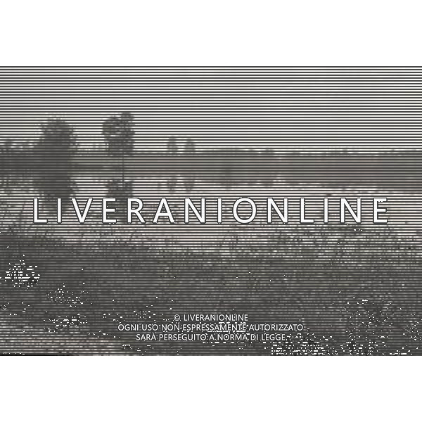 NEG-1976 ALLAGAMENTI NELLE CAMPAGNE DI LODI AG ALDO LIVERANI SAS