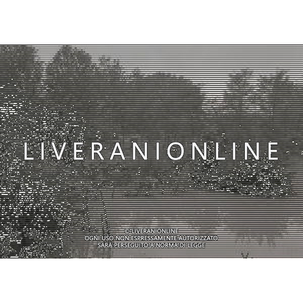 NEG-1976 ALLAGAMENTI NELLE CAMPAGNE DI LODI AG ALDO LIVERANI SAS