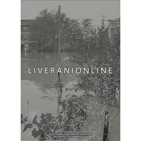 NEG-1976 ALLAGAMENTI NELLE CAMPAGNE DI LODI AG ALDO LIVERANI SAS