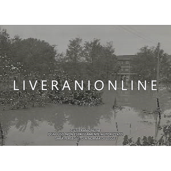 NEG-1976 ALLAGAMENTI NELLE CAMPAGNE DI LODI AG ALDO LIVERANI SAS