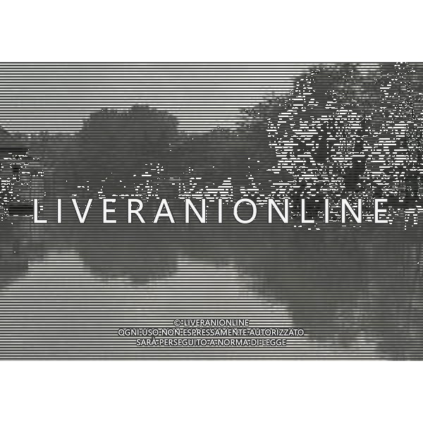 NEG-1976 ALLAGAMENTI NELLE CAMPAGNE DI LODI AG ALDO LIVERANI SAS