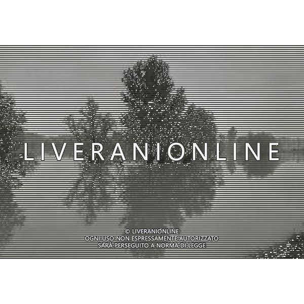 NEG-1976 ALLAGAMENTI NELLE CAMPAGNE DI LODI AG ALDO LIVERANI SAS