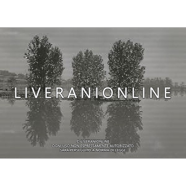 NEG-1976 ALLAGAMENTI NELLE CAMPAGNE DI LODI AG ALDO LIVERANI SAS