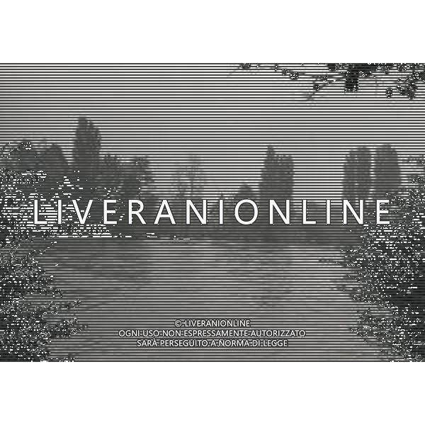 NEG-1976 ALLAGAMENTI NELLE CAMPAGNE DI LODI AG ALDO LIVERANI SAS