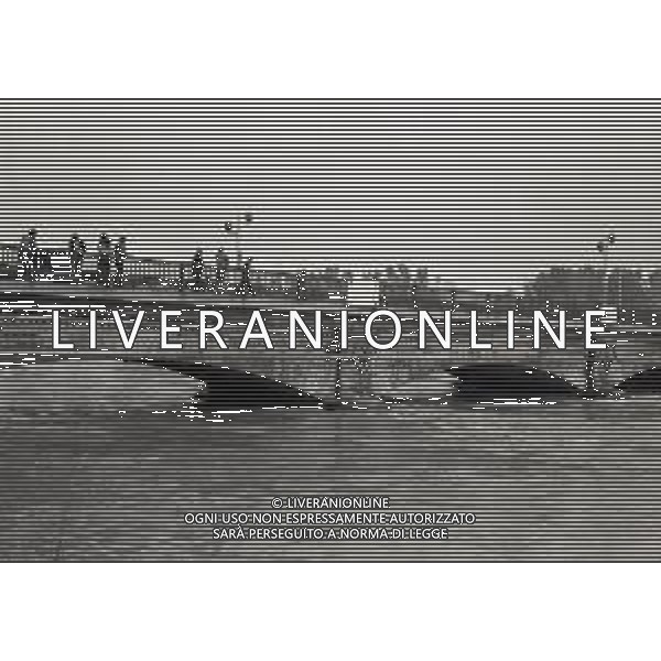 NEG-1976 ALLAGAMENTI NELLE CAMPAGNE DI LODI AG ALDO LIVERANI SAS