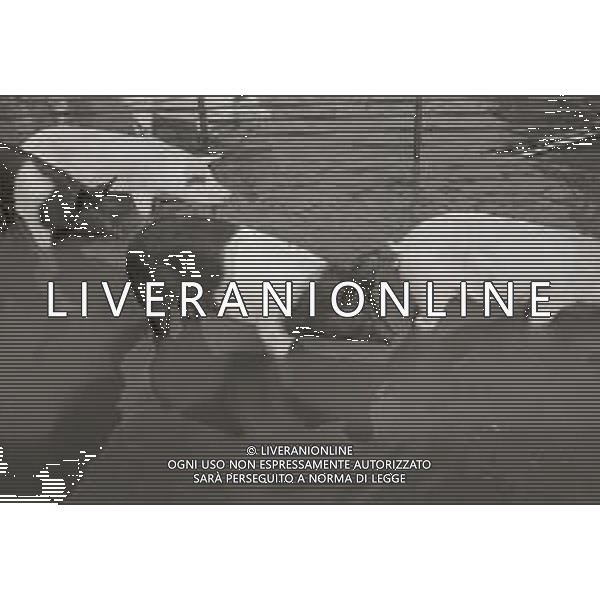 NEG-1976 ALLAGAMENTI NELLE CAMPAGNE DI LODI AG ALDO LIVERANI SAS