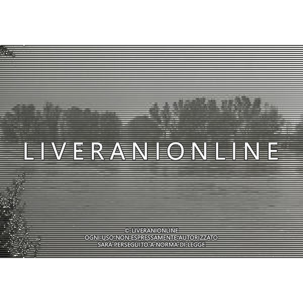 NEG-1976 ALLAGAMENTI NELLE CAMPAGNE DI LODI AG ALDO LIVERANI SAS