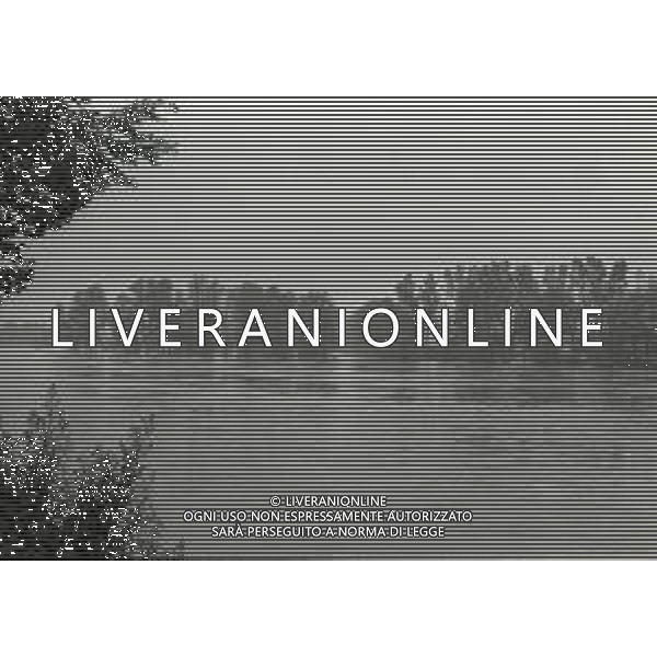 NEG-1976 ALLAGAMENTI NELLE CAMPAGNE DI LODI AG ALDO LIVERANI SAS