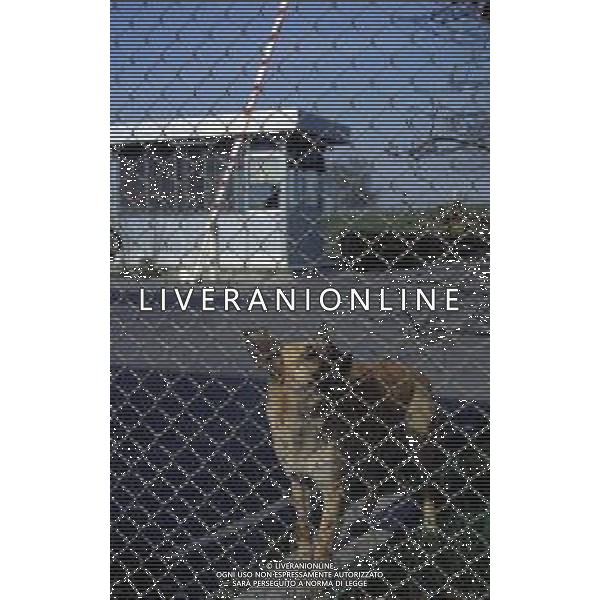 DIAP-MARANELLO NELLA FOTO MARANELLO FERRARI AG ALDO LIVERANI SAS