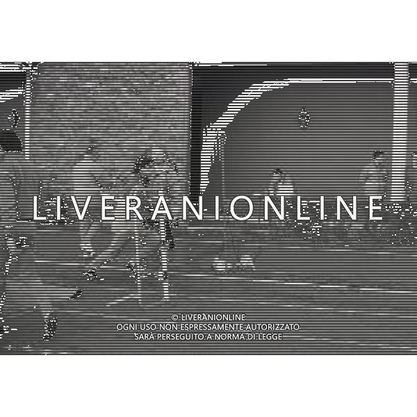 NEG-1987-1988 ALLENAMENTO NAZIONALE ITALIANA A COVERCIANO NELLA FOTO FRANCESCO ROMANO AG ALDO LIVERANI SAS