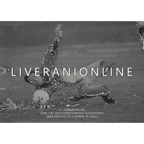 NEG-1987-1988 ALLENAMENTO NAZIONALE ITALIANA A COVERCIANO NELLA FOTO MARCO LANDUCCI AG ALDO LIVERANI SAS 