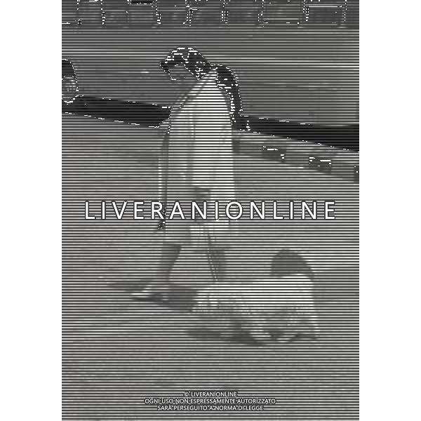 NEG-1967 MILANO AEROPORTO LINATE NELLA FOTO LA CONTESSA GIUSEPPINA AGUSTA ALL\'AEROPORTO DI LINATE NELL\'ANNO 1967 AG ALDO LIVERANI SAS