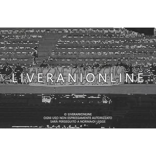 NEG-27-10-1983 MILANO GARA DI ANDATA COPPA ITALIA INTER-LUCCHESE 2-0 NELLA FOTO TIFOSI LUCCHESE AG ALDO LIVERANI SAS