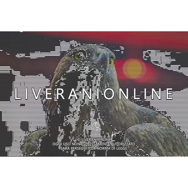 Attila, der Frankfurter Adler, Eintracht Frankfurt vs. VfL Wolfsburg, Fussball, Bundesliga, DFL, Saison 2025/2026, Hinrunde, 12. Spieltag, 30.11.2025 DFB regulations prohibit any use of photographs as image sequences and/or quasi-video / action press AG KARMAPRESS-AG ALDO LIVERANI SAS