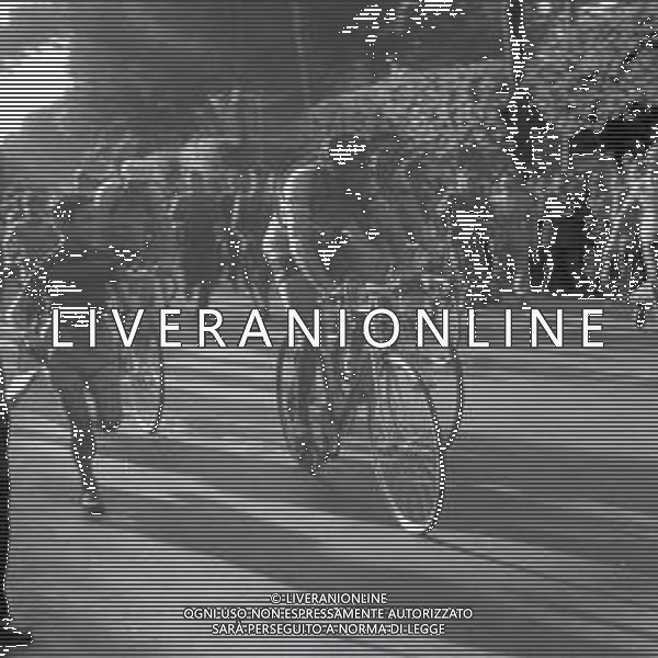 NEG-1949 GIRO D\'ITALIA TAPPA TERNI -ROMA VINTA DA MENON ANGELO NELLA FOTO FAUSTO COPPI FOTO SANDRO VESPASIANI-AG ALDO LIVERANI SAS