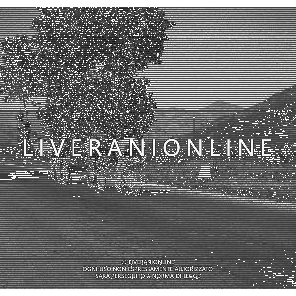 NEG-1949 GIRO D\'ITALIA TAPPA TERNI -ROMA VINTA DA MENON ANGELO FOTO SANDRO VESPASIANI-AG ALDO LIVERANI SAS