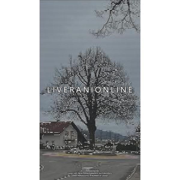 Komenda, Citta’ natale del ciclista (Uae Team Emirates) Campione del Mondo Tadej Pogacar 06.12.2025 ©SIROTTI - AGENZIA ALDO LIVERANI SAS