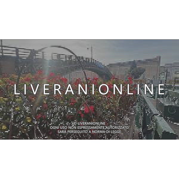 30 11 2025 Venezia Ponte Accademia - Vedute della Citta’ ©SIROTTI - AGENZIA ALDO LIVERANI SAS