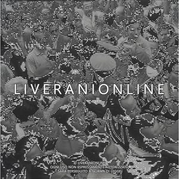 NEG-1949 GIRO D\'ITALIA A ROMA FOTO SANDRO VESPASIANI-AG ALDO LIVERANI SAS