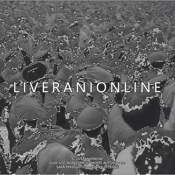 NEG-1949 GIRO D\'ITALIA A ROMA FOTO SANDRO VESPASIANI-AG ALDO LIVERANI SAS