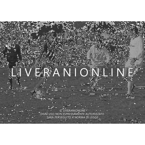 1982-1983 TORNEO DI VIAREGGIO INTER ROMA PRIMAVERA NELLA FOTO AZIONE DI GIOCO AG ALDO LIVERANI SAS