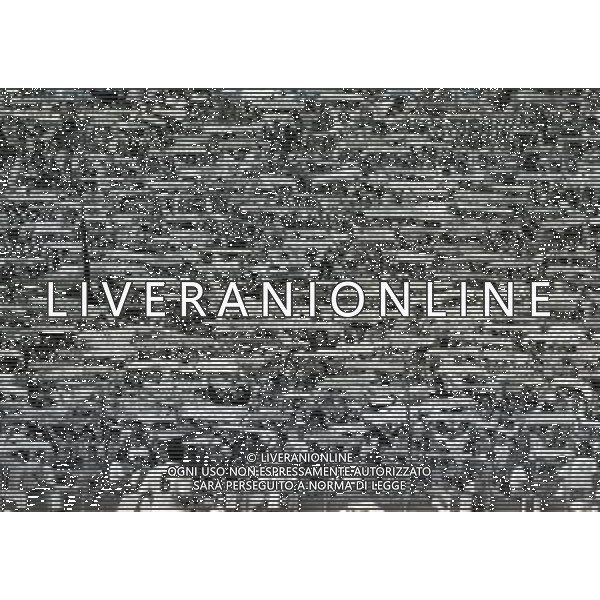 NEG-21-09-1991 ROMA-CAMPIONATO DI CALCIO SERIE A LAZIO-INTER 0-1 NELLA FOTO TIFOSI LAZIO AG ALDO LIVERANI SAS