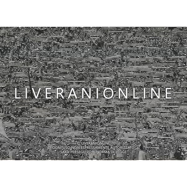 NEG-21-09-1991 ROMA-CAMPIONATO DI CALCIO SERIE A LAZIO-INTER 0-1 NELLA FOTO TIFOSI LAZIO AG ALDO LIVERANI SAS