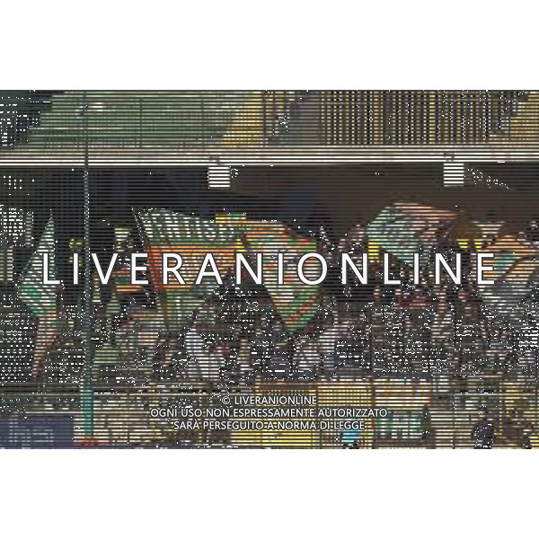 TVPM Avellino, Venezia Nella Foto: tifosi Venezia Foto Mosca, Ag.Liverani -TVPM Avellino - Venezia Campionato Calcio Serie B 08.12.2025