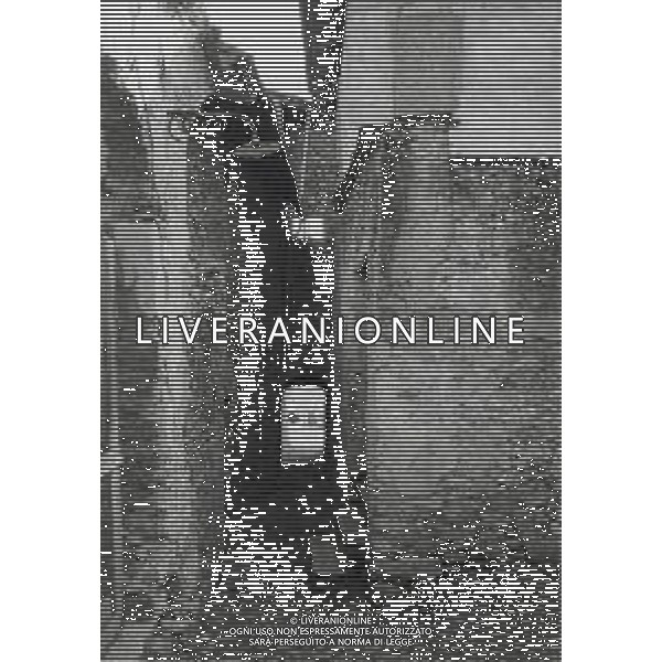 ST-COMO-CASA DE MARIA A BONZANIGO DOVE FU TENUTO PRIGIONIERO DAI PARTIGIANI BENITO MUSSOLINI AG GIOVANNI LIVERANI -AG ALDO LIVERANI SAS
