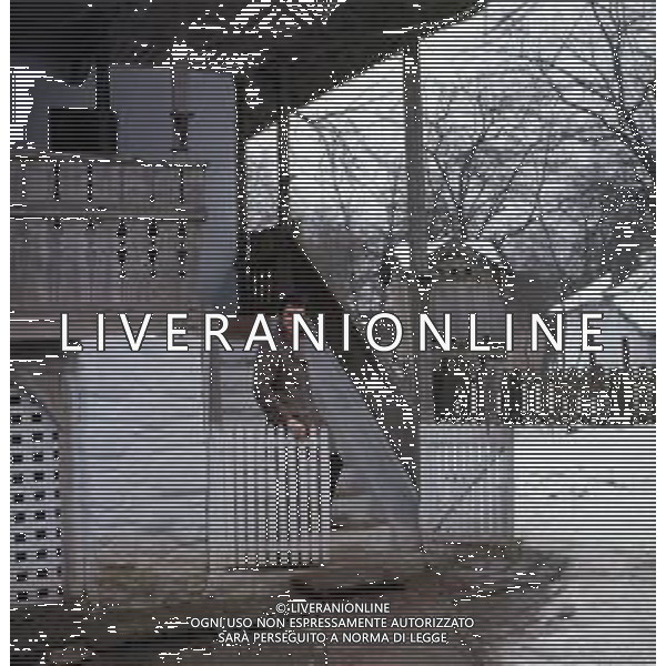 COL-RETROSPETTIVA MICHELE MAISANO CANTANTE NELLA FOTO MICHELE MAISANO AG ALDO LIVERANI SAS