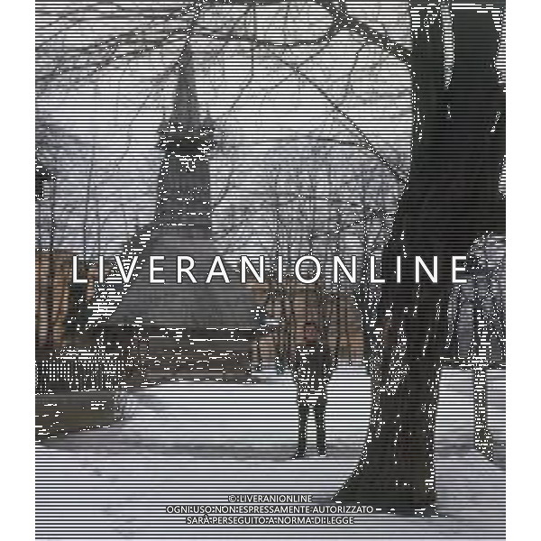 COL-RETROSPETTIVA MICHELE MAISANO CANTANTE NELLA FOTO MICHELE MAISANO AG ALDO LIVERANI SAS