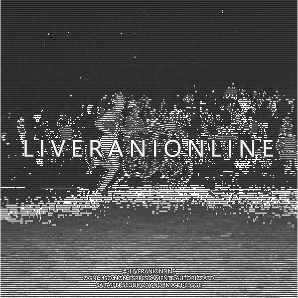 NEG-1960 OLIMPIADI DI ROMA-LA MARATONA FOTO SANDRO VESPASIANI-AG ALDO LIVERANI SAS