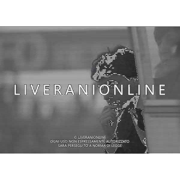 NEG-29-01-1989 BRESCIA-CAMPIONATO DI CALCIO SERIE B BRESCIA-PICANZA 2-0 NELLA FOTO ATTILIO PEROTTI ALLENATORE PIACENZA CALCIO AG ALDO LIVERANI SAS