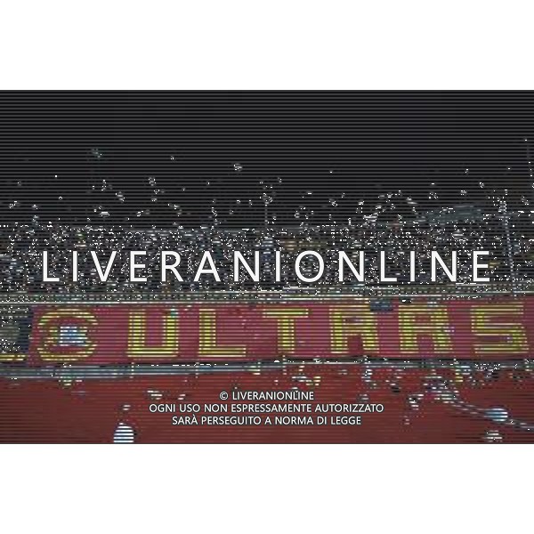 Catanzaro 13-12-2025 Stadio Nicola Ceravolo Us Catanzaro vs Avellino Serie BKT 16a giornata Nella foto: Tifosi Catanzaro peluche in campo Andrea Rosito/Agenzia Aldo Liverani sas- AGENZIA ALDO LIVERANI SAS