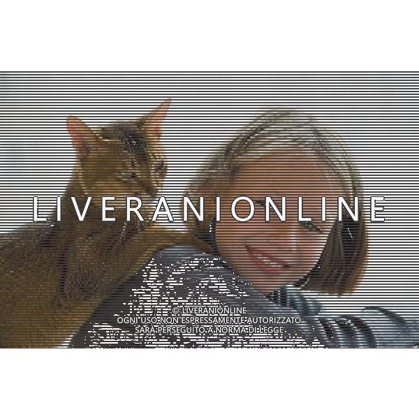 ARCHIVIO ALDO LIVERANI S A S NELLA FOTO IL GATTO AGENZIA ALDO LIVERANI