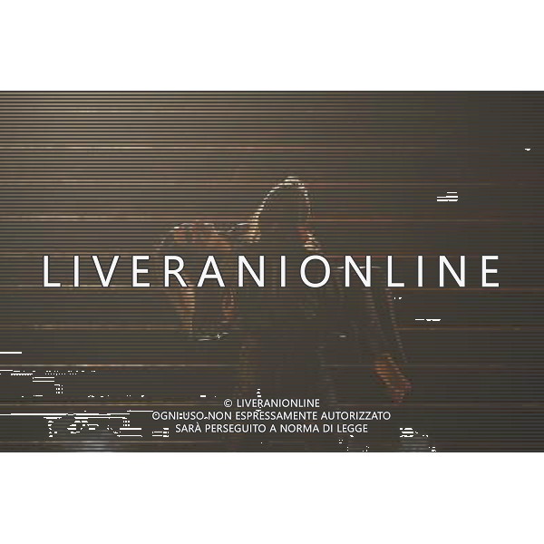 Roma 09/03/2006 - Spettacolo teatrale \' Dracula Opera Rock \' prodotto da David Zard con la regia di Alfredo Arias e le musiche della PFM. Protagonisti Vittorio Matteucci ( dracula ), Sabrina De Siena ( Mina Murray ), Fabio Privitera ( reinfield