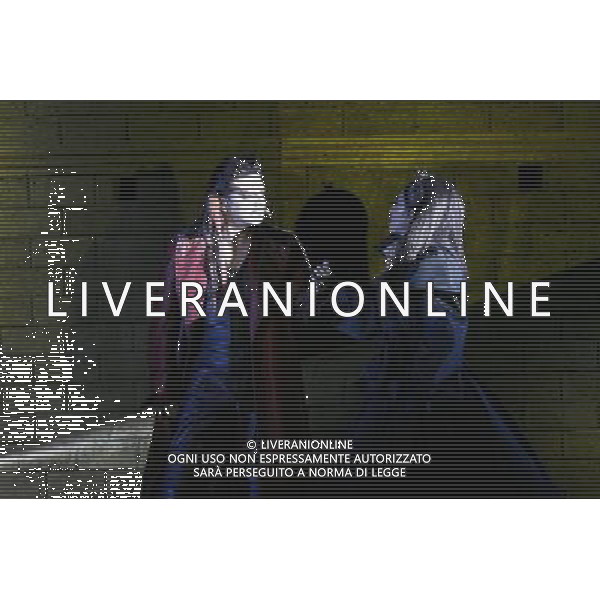 Roma 09/03/2006 - Spettacolo teatrale \' Dracula Opera Rock \' prodotto da David Zard con la regia di Alfredo Arias e le musiche della PFM. Protagonisti Vittorio Matteucci ( dracula ), Sabrina De Siena ( Mina Murray ), Fabio Privitera ( reinfield