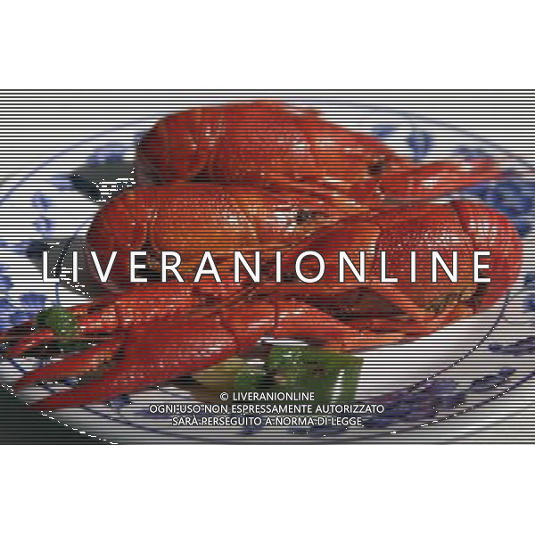 ARCHIVIO ANIMALI ALDO LIVERANI S A S NELLA FOTO ASTICI AGENZIA ALDO LIVERANI